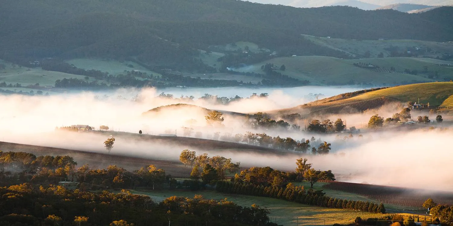 Mystery Picnic Date - Yarra Valley